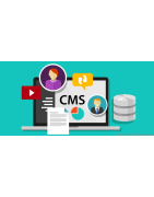 Cms Yazılımları