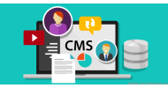 Cms Yazılımları